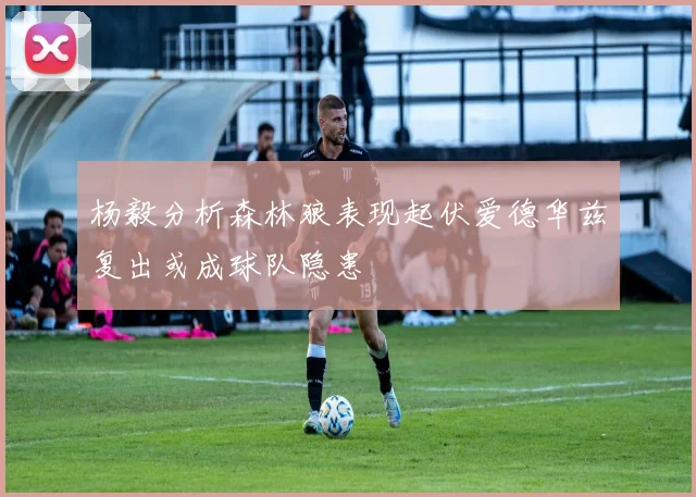 杨毅分析森林狼表现起伏爱德华兹复出或成球队隐患