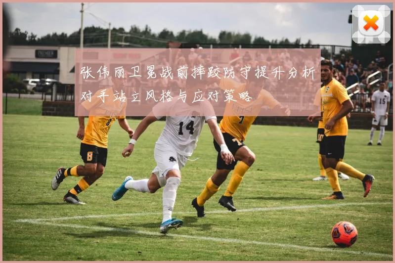 张伟丽卫冕战前摔跤防守提升分析对手站立风格与应对策略
